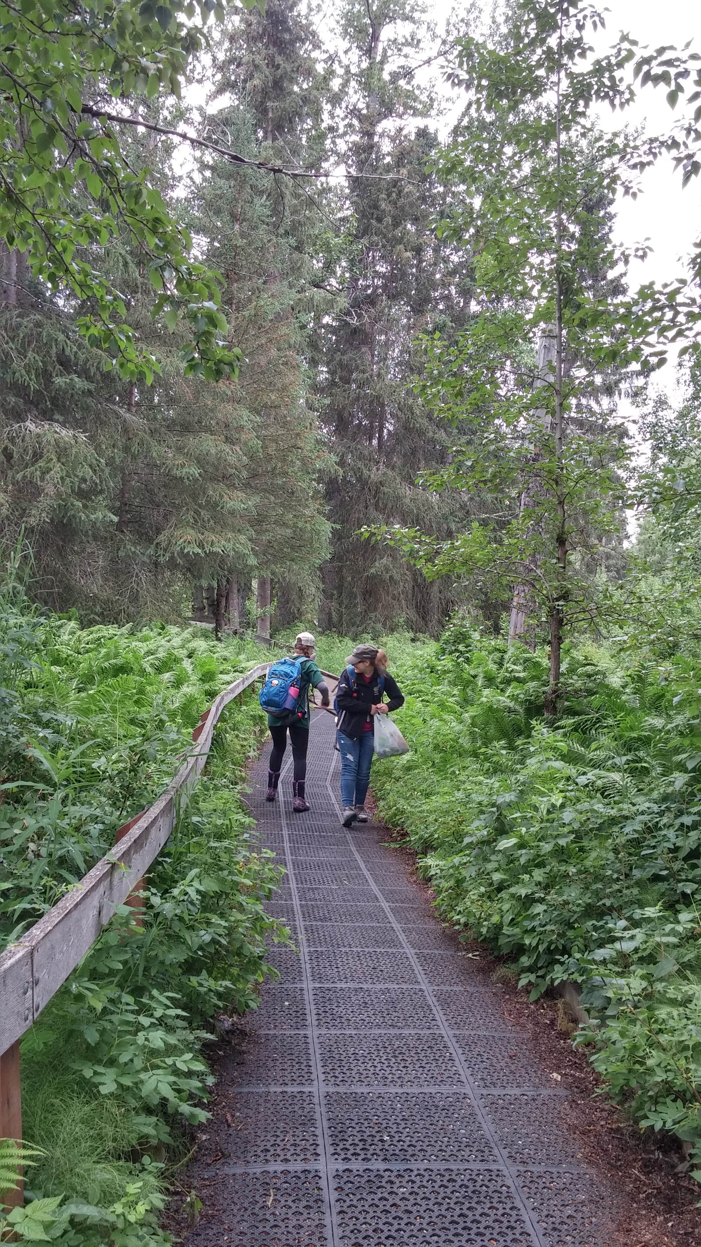 Camper submitted image from Russian River - TEMPORARILY CLOSED - 5