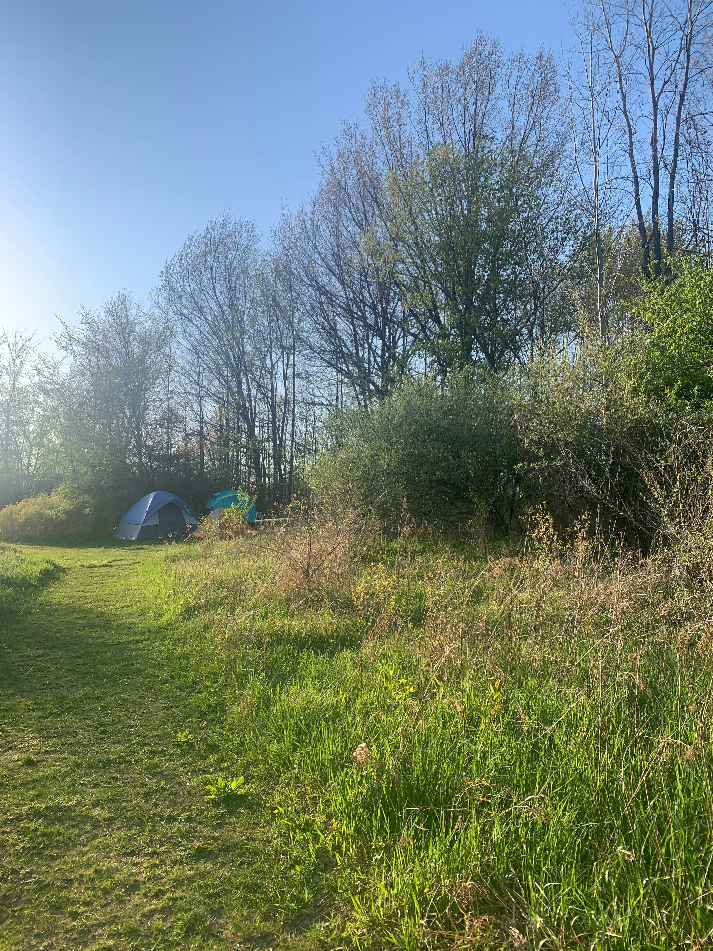 Shawn Z.'s photo at Sleepy Hollow State Park Campground near Bath, MI
