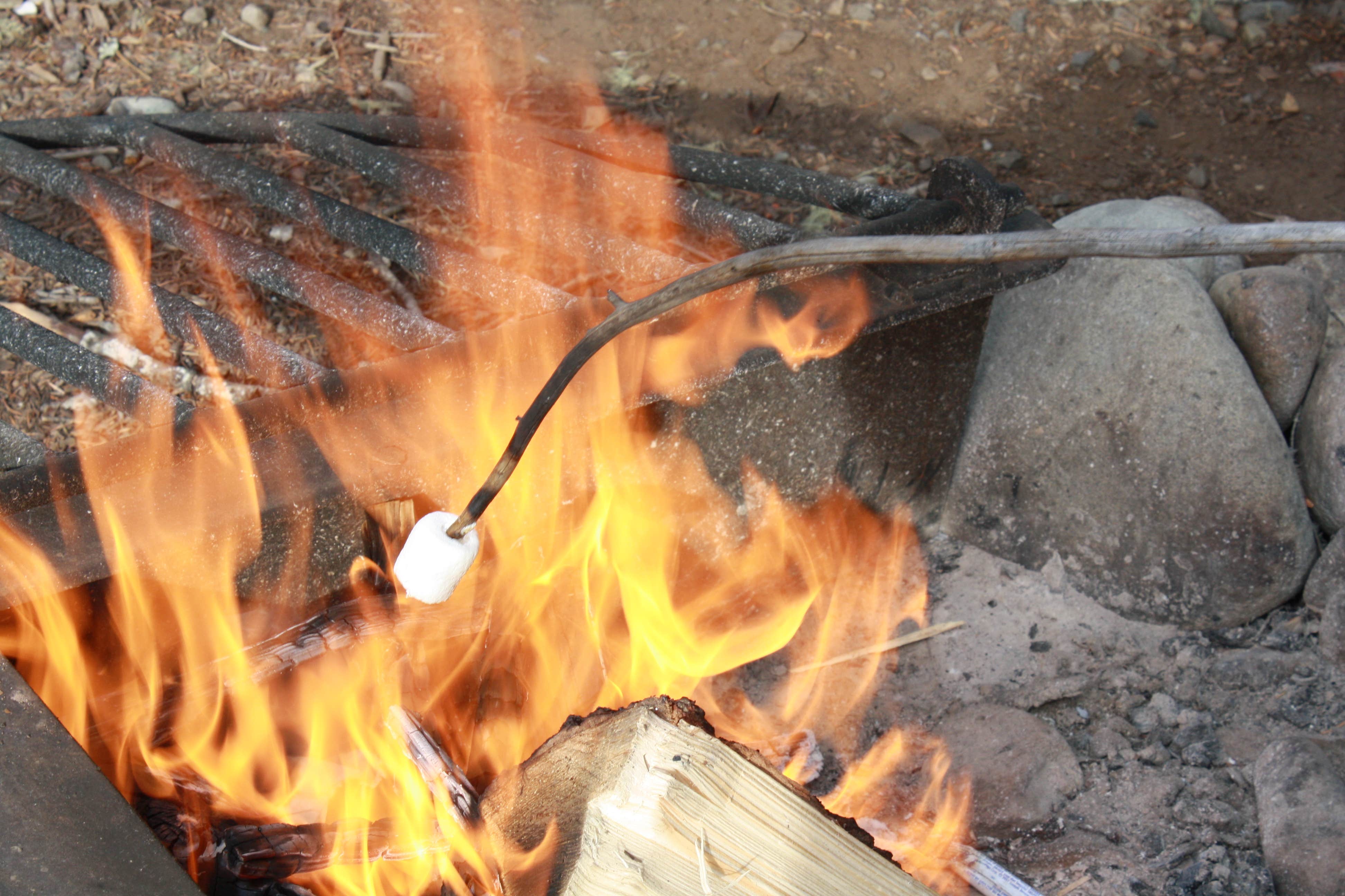 Camper submitted image from Red Mountain Campground - 2
