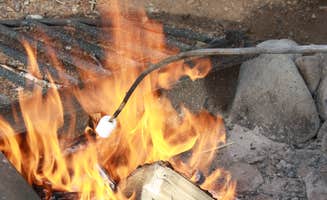 Jared L.'s photo at Red Mountain Campground near Roslyn, WA