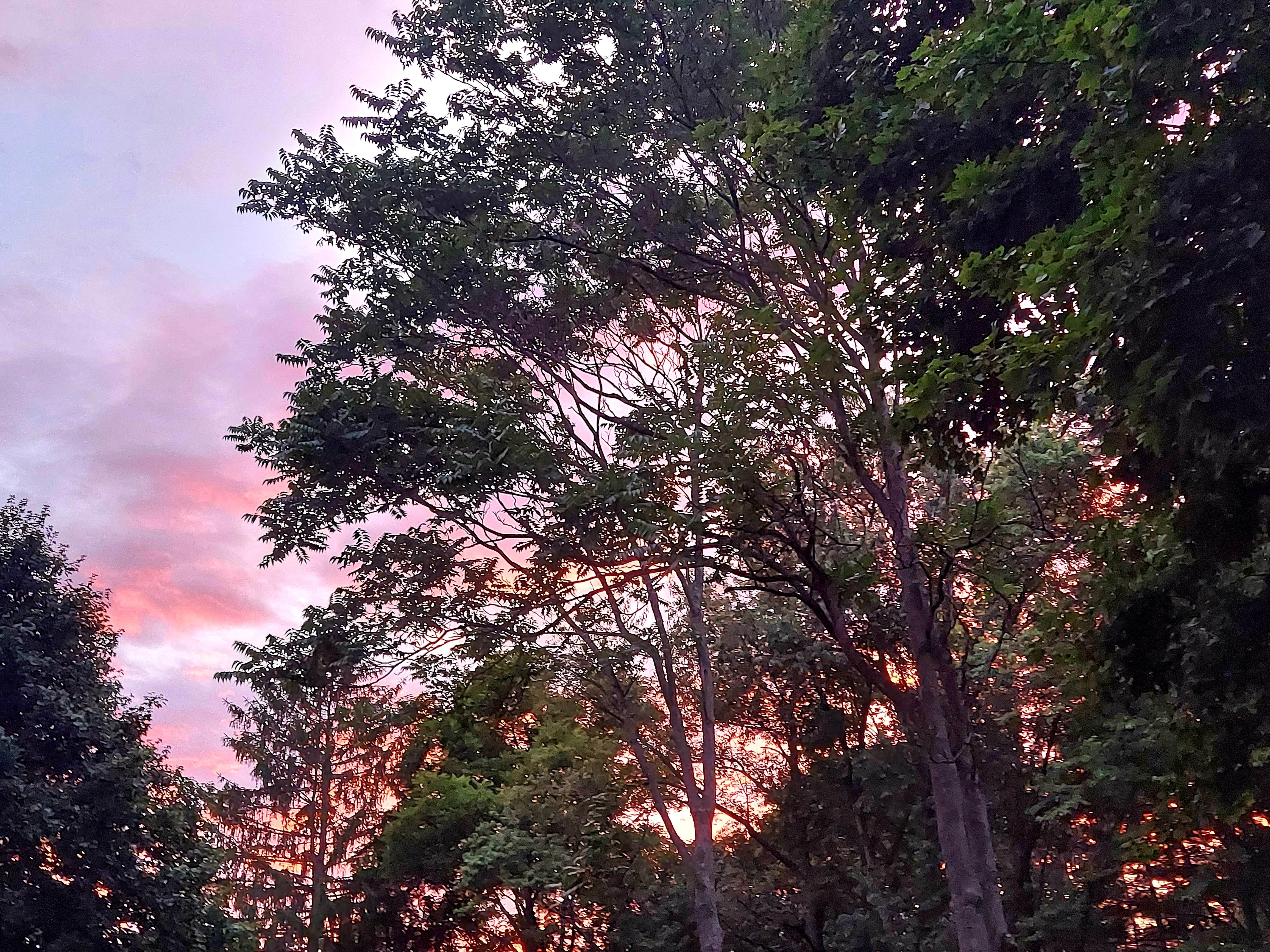 Camping near Getaway Beaver Creek: Big Arbs Campground, Malvern, Ohio