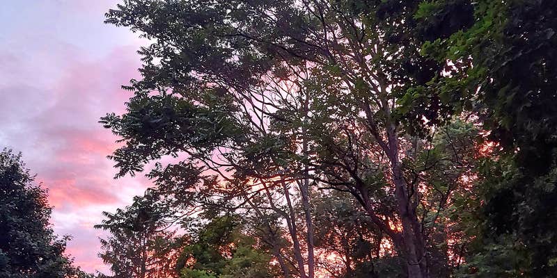 Camper submitted image from Big Arbs Campground