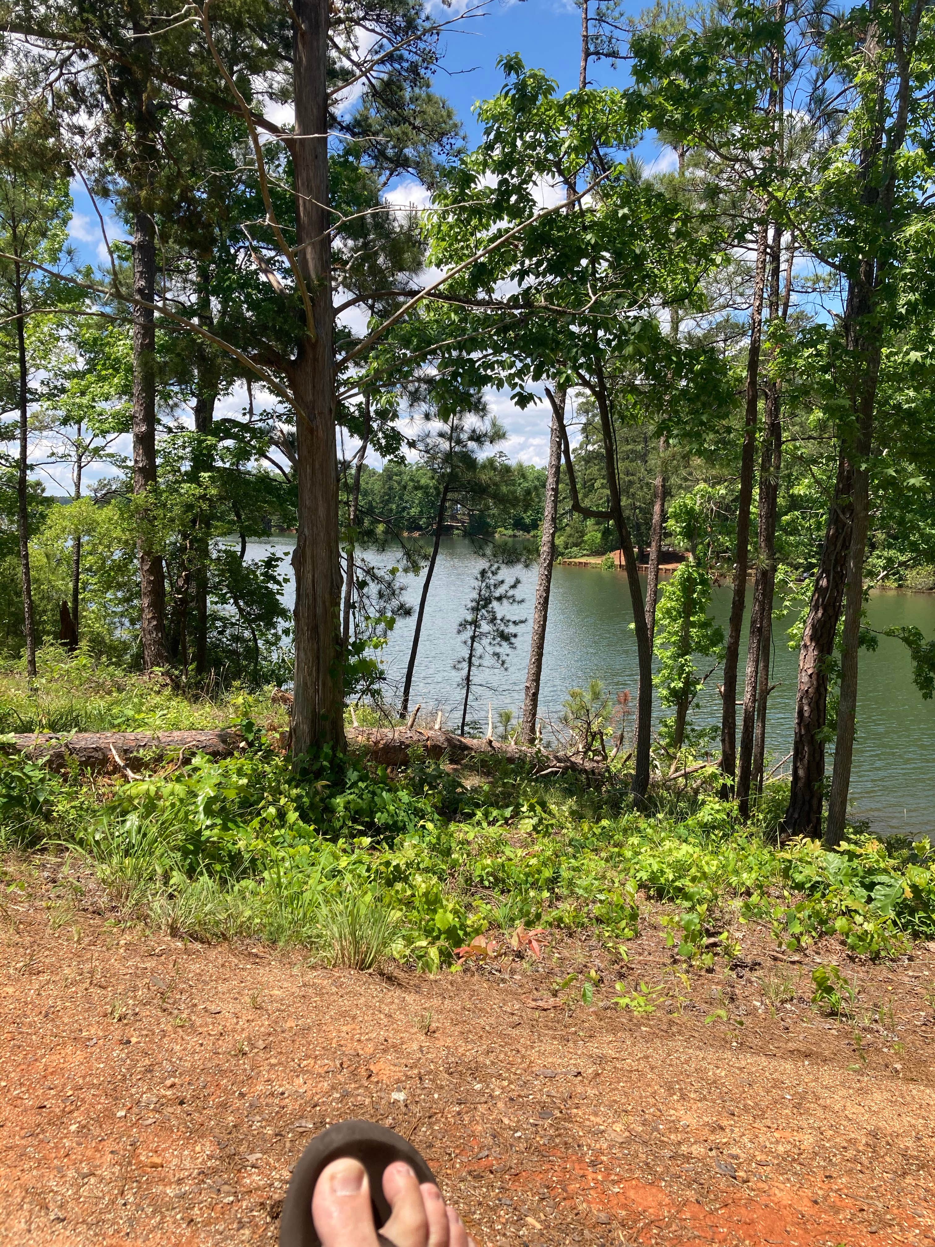 Camper submitted image from Modoc - J Strom Thurmond Lake - 5