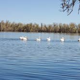 Review photo of Prewitt Reservoir State Wildlife Area by Ruth L., May 8, 2021