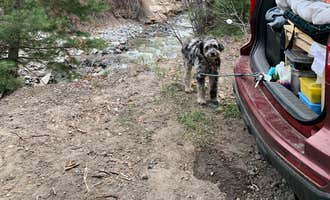 Camping near Angel Creek Campground: County Road 14, Dexter Creek Backcountry, Ouray, Colorado