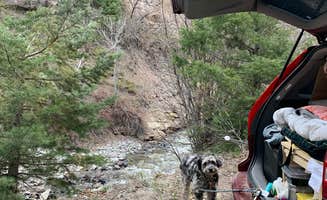 Jaclyn P.'s photo of camping with pets at County Road 14, Dexter Creek Backcountry near Ridgway, CO