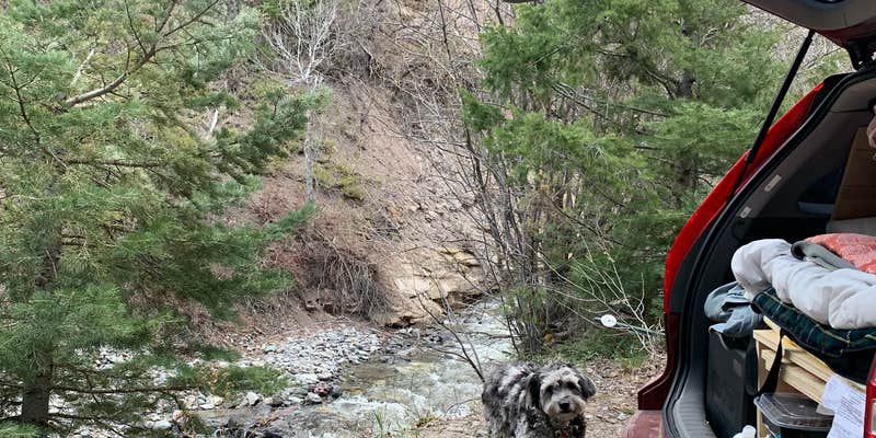 Camper submitted image from County Road 14, Dexter Creek Backcountry