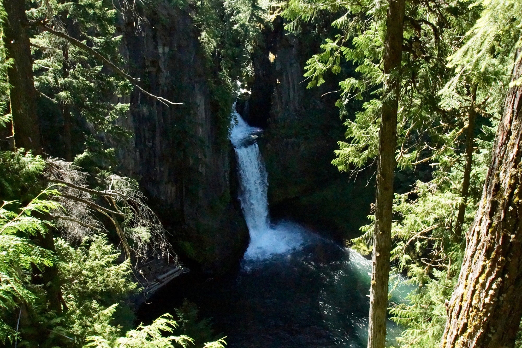 Toketee Falls near Toketee Lake Campground - Southern Oregon Camping Experiences