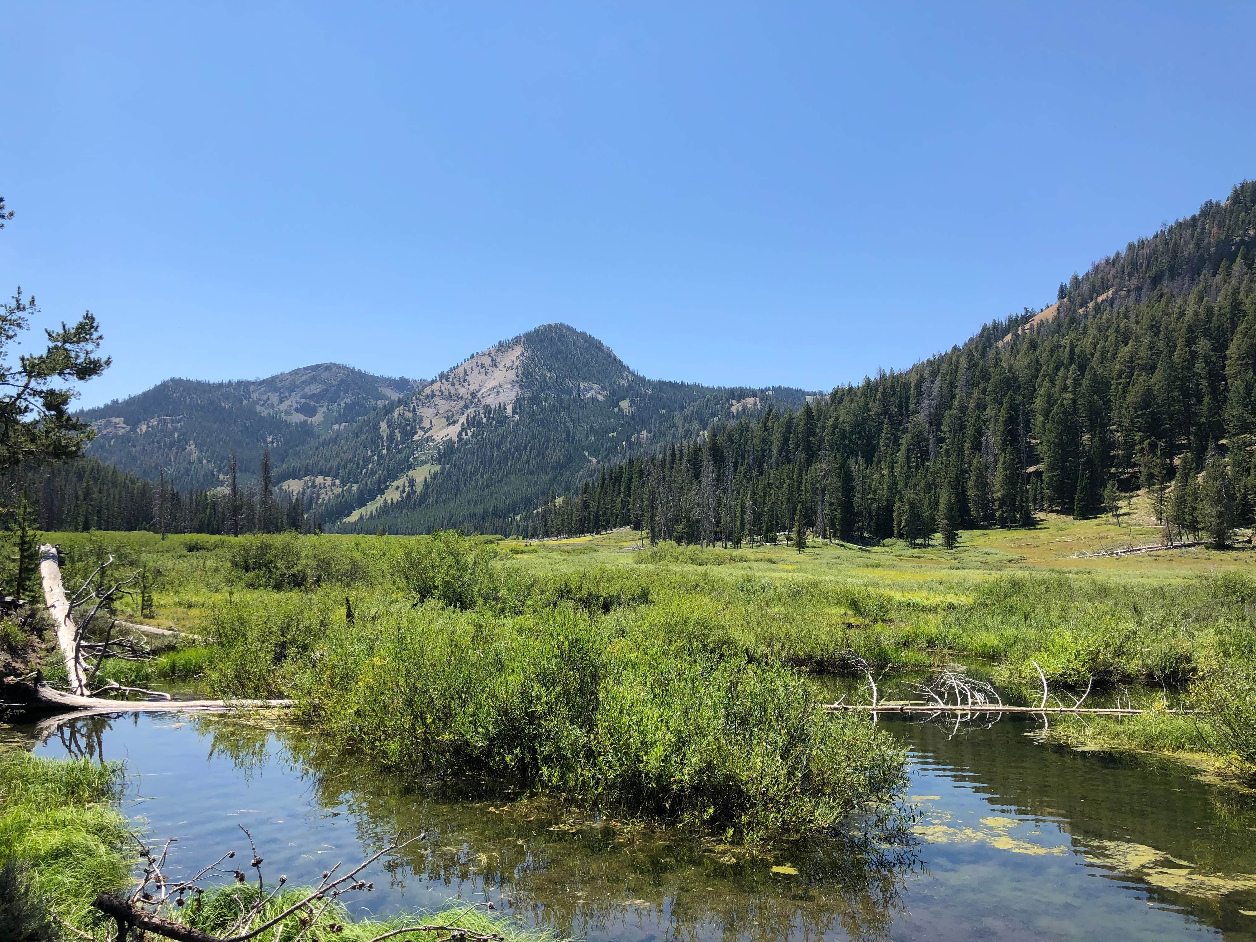 Alturas Lake Inlet The Dyrt