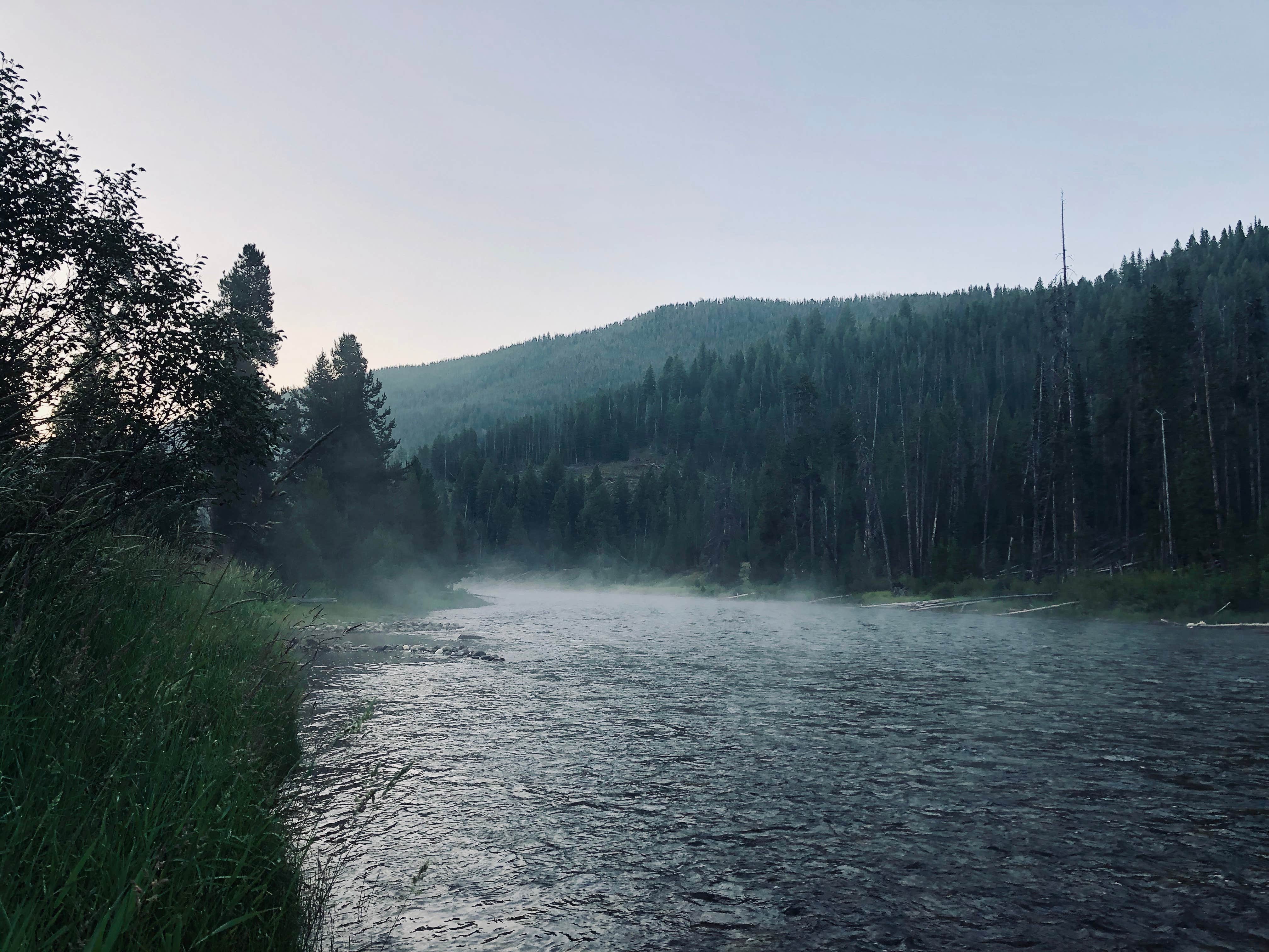 Camper submitted image from Mormon Bend Campground - 1