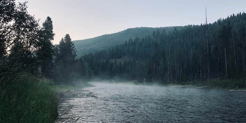 Camper submitted image from Mormon Bend Campground