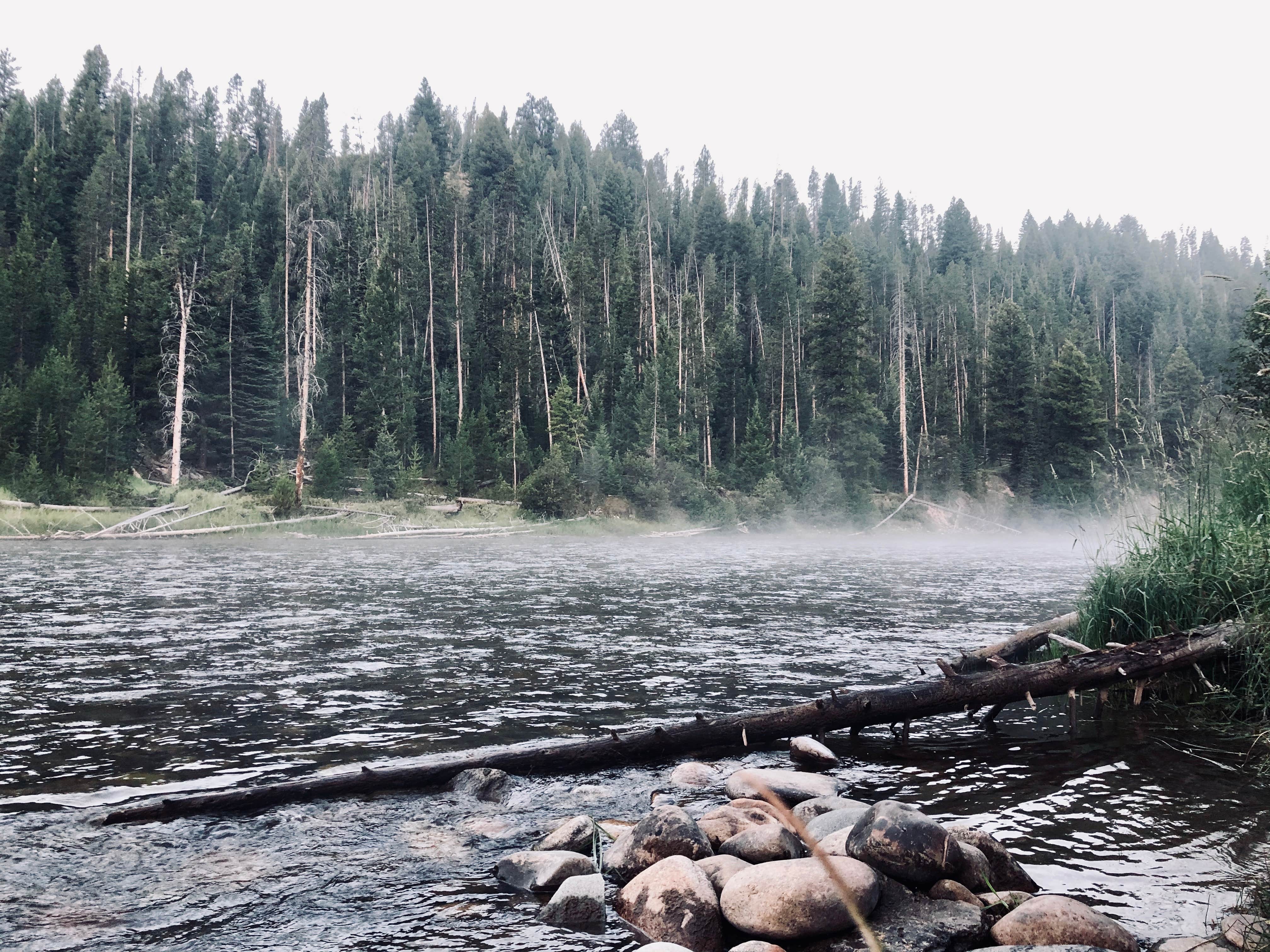 Camper-submitted photo at Mormon Bend Campground near Sawtooth National Forest
