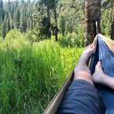 Review photo of Mormon Bend Campground by Alex S., May 8, 2021