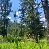 Review photo of Mormon Bend Campground by Alex S., May 8, 2021