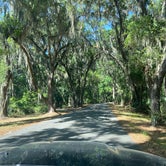 Review photo of Skidaway Island State Park Campground by Brandy C., May 8, 2021
