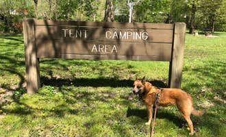 Camping near R&L Farm - Temporarily Closed : Gebhard Woods State Park Campground, Morris, Illinois