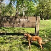 Review photo of Gebhard Woods State Park Campground by Art S., May 8, 2021