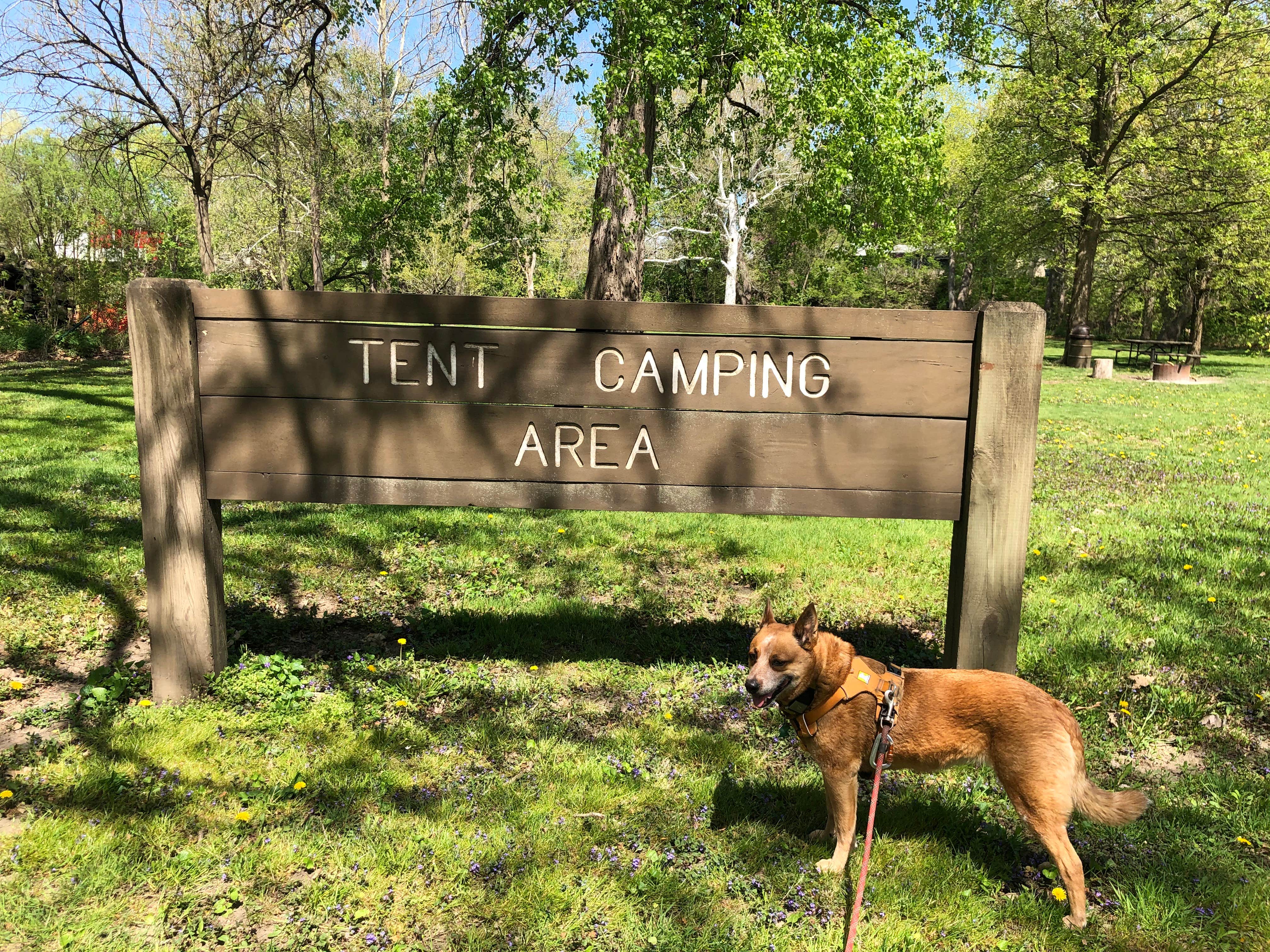 Camper submitted image from Gebhard Woods State Park Campground - 1