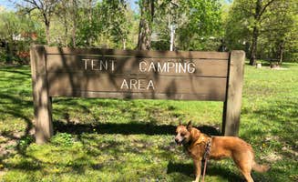 Art S.'s photo of camping with pets at Gebhard Woods State Park Campground near Eola, IL