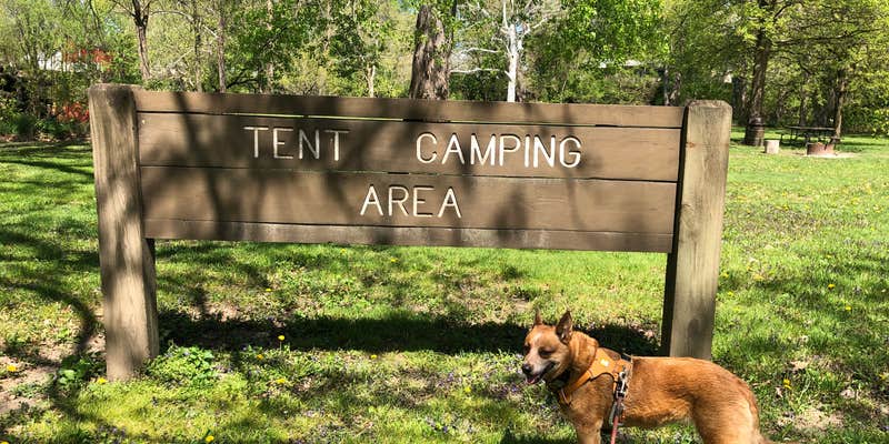 Camper submitted image from Gebhard Woods State Park Campground