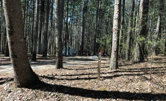 Camping near Pharoah - Garden of the Gods Rec Area Campground: Pine Ridge, Karbers Ridge, Illinois