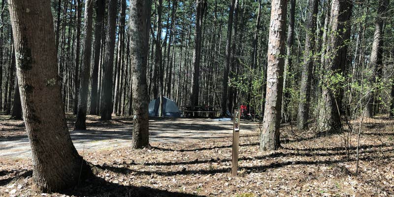 Camper submitted image from Pine Ridge