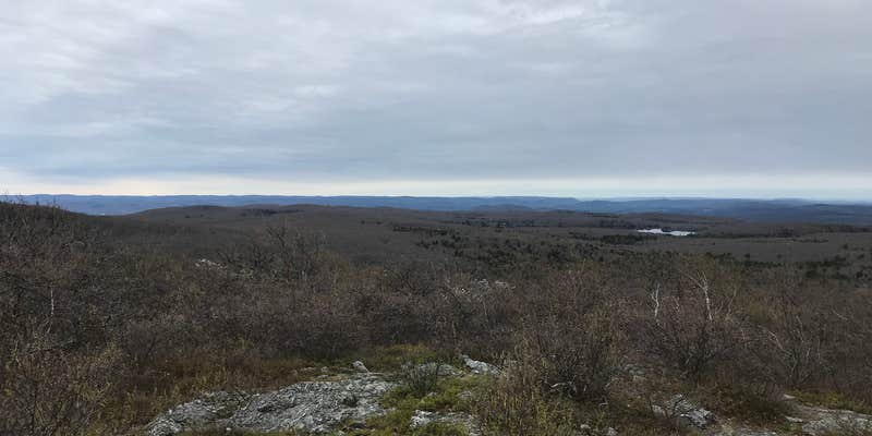 Camper submitted image from Laurel Ridge — Mount Everett State Reservation