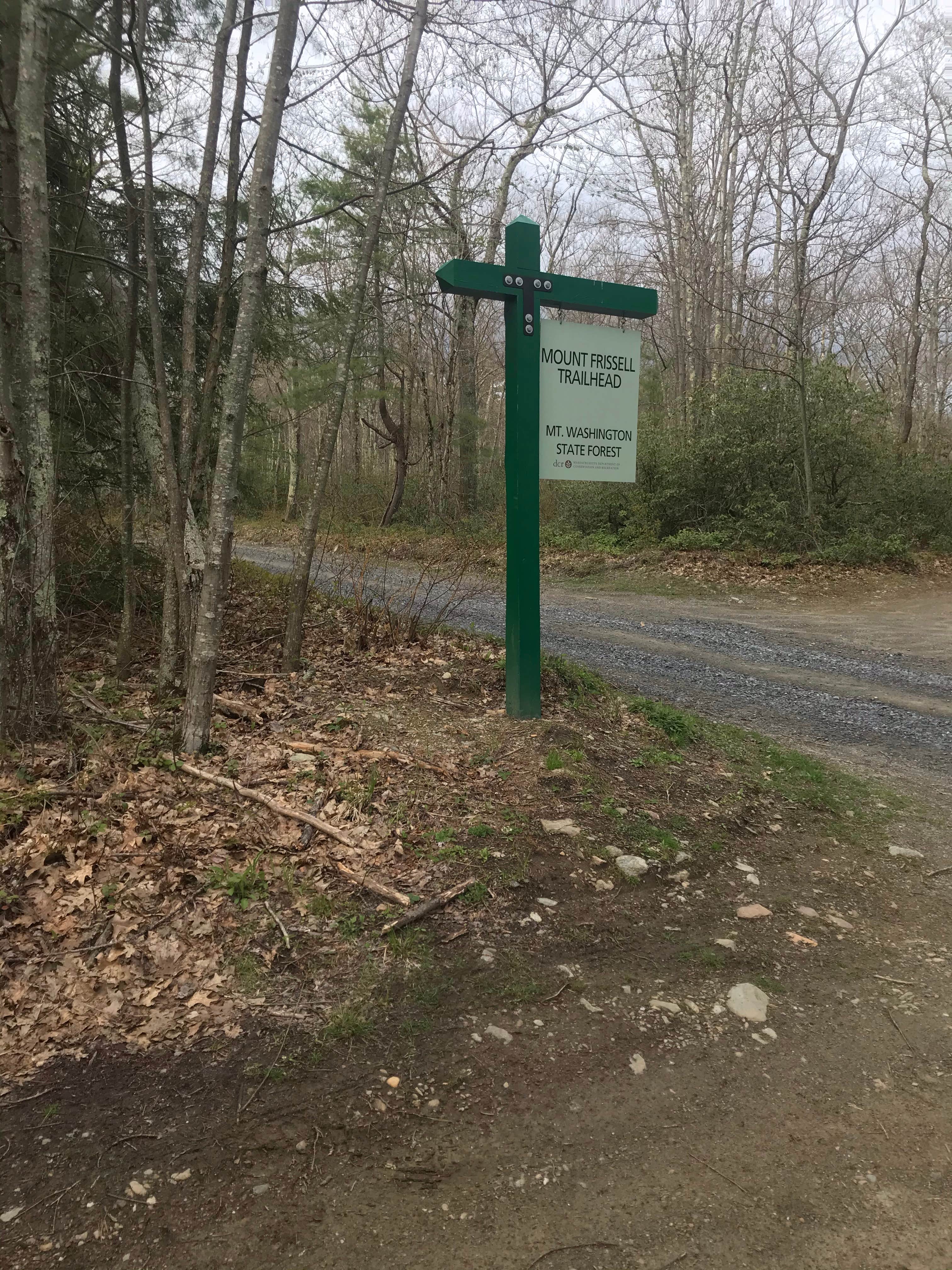 Camper-submitted photo at Laurel Ridge — Mount Everett State Reservation near Ashley Falls, MA