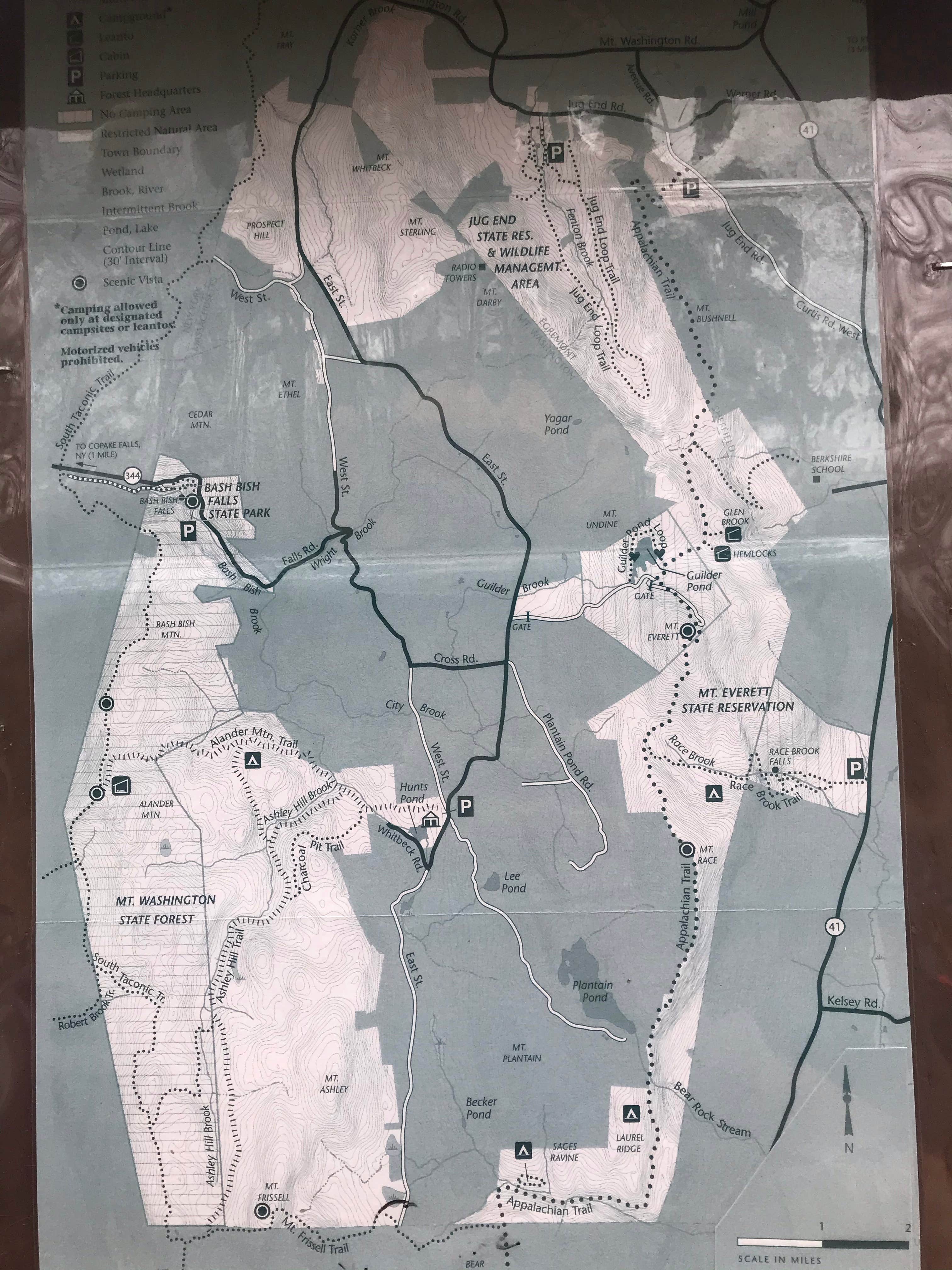 Camper-submitted photo at Laurel Ridge — Mount Everett State Reservation near Ashley Falls, MA