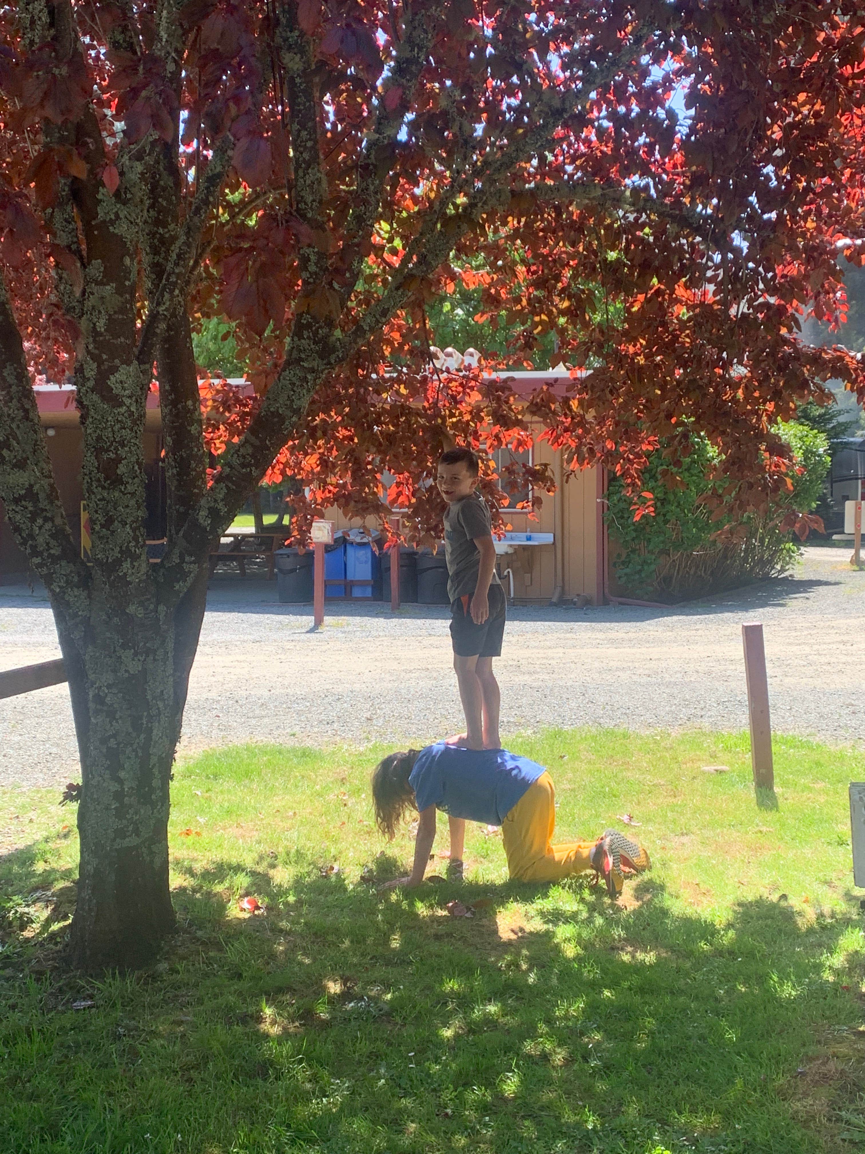 Chris H.'s photo of camping with pets at Crescent City/Redwoods KOA near Smith River, CA