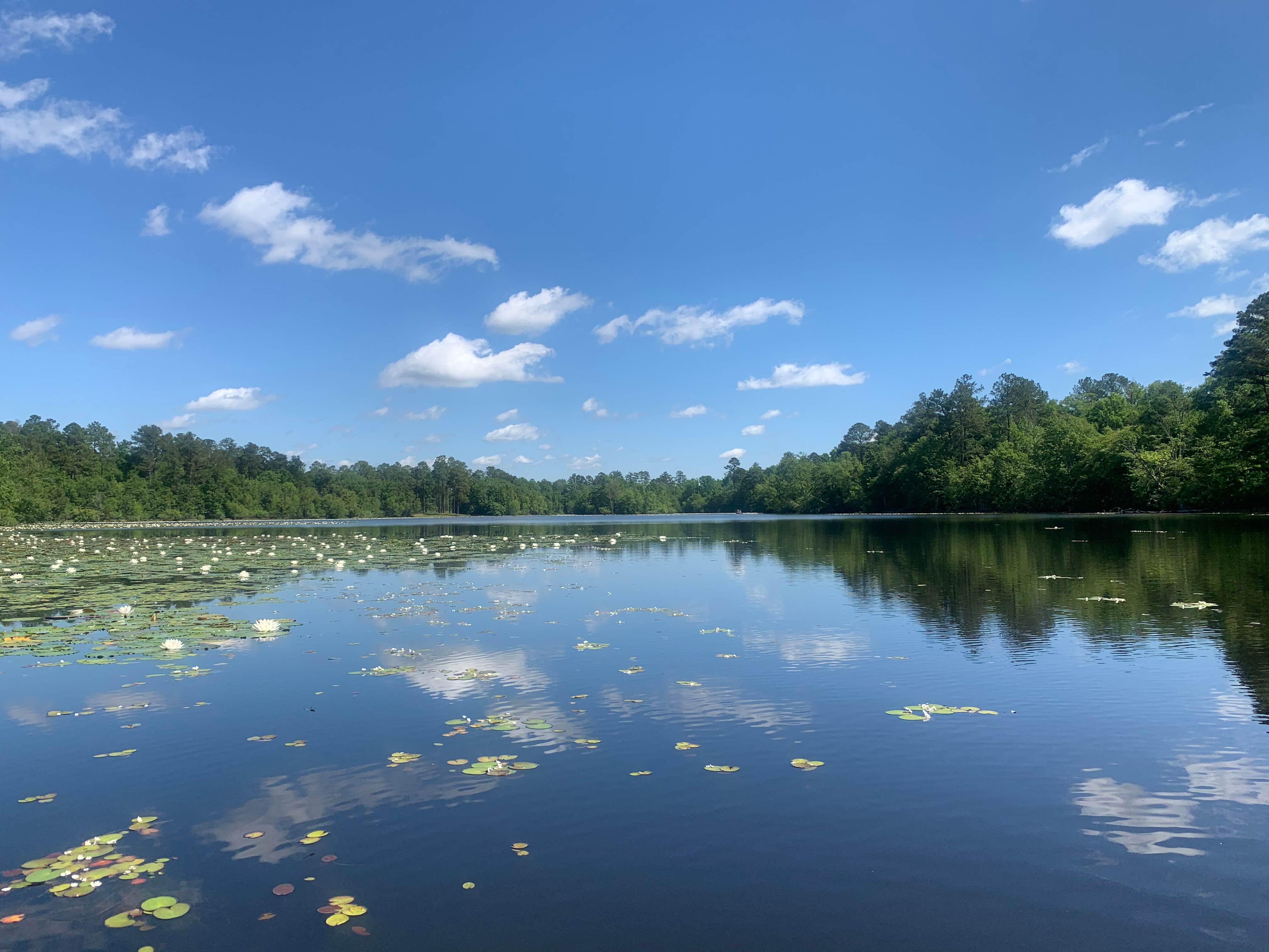 Magnolia Springs State Park The Dyrt