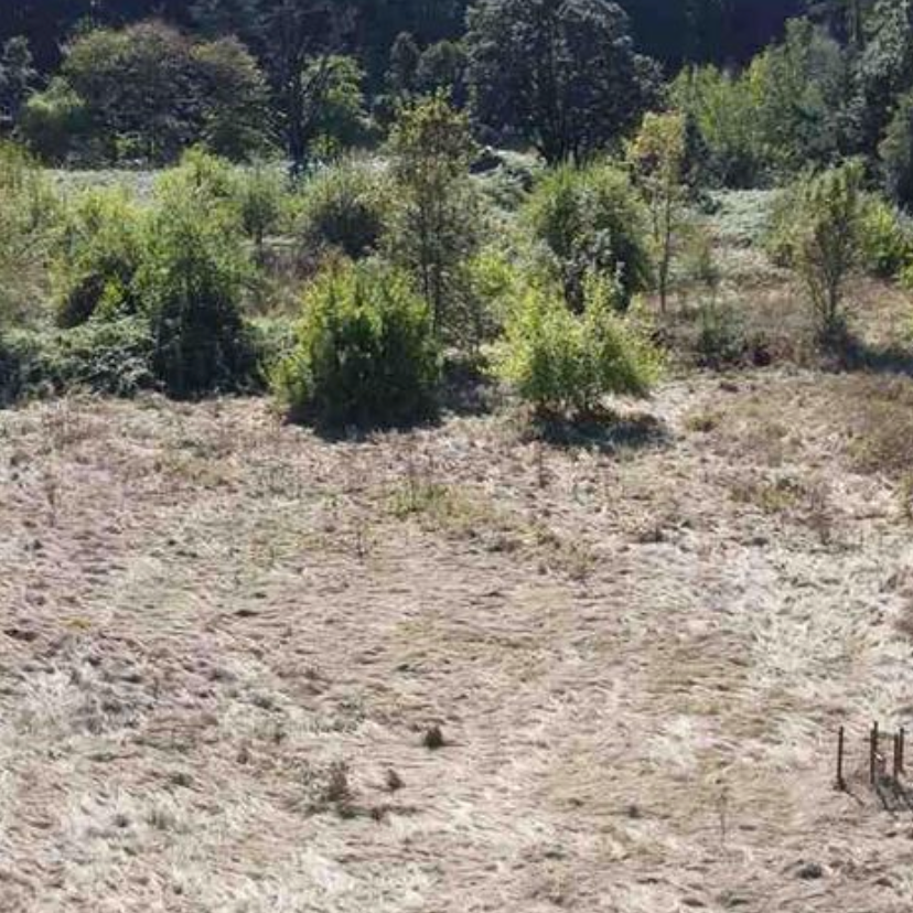 Christmas Valley Camping and RV Park Christmas Valley, OR