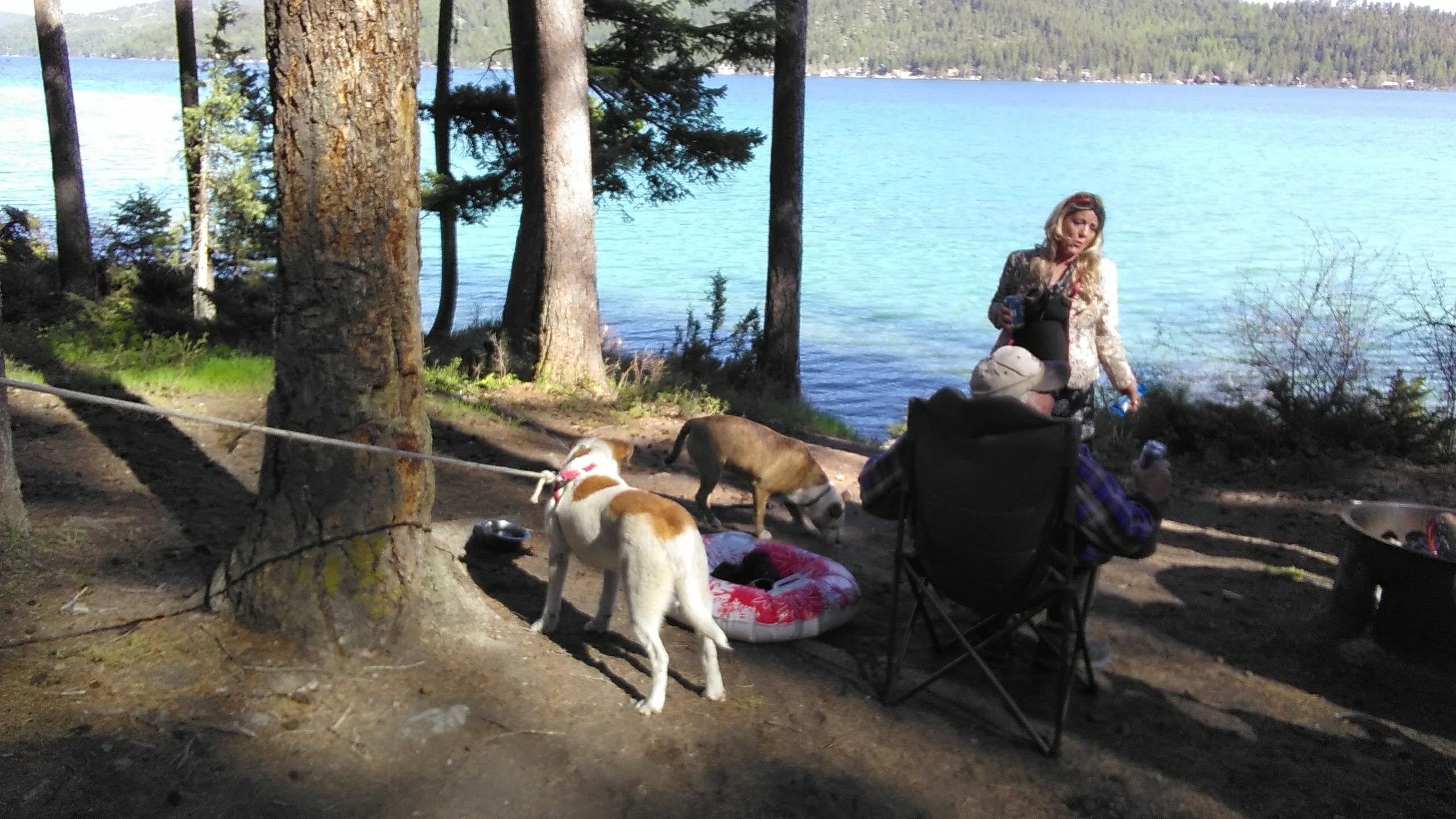 Camper submitted image from Ashley Lake North Campground - 1