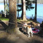 Review photo of Ashley Lake North Campground by terri Y., May 8, 2021