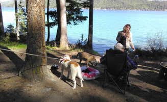 terri Y.'s photo of camping with pets at Ashley Lake North Campground near Kalispell, MT