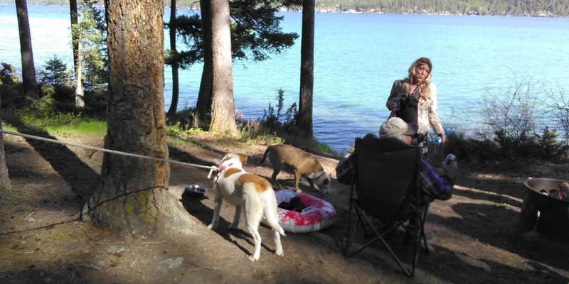 Camper submitted image from Ashley Lake North Campground