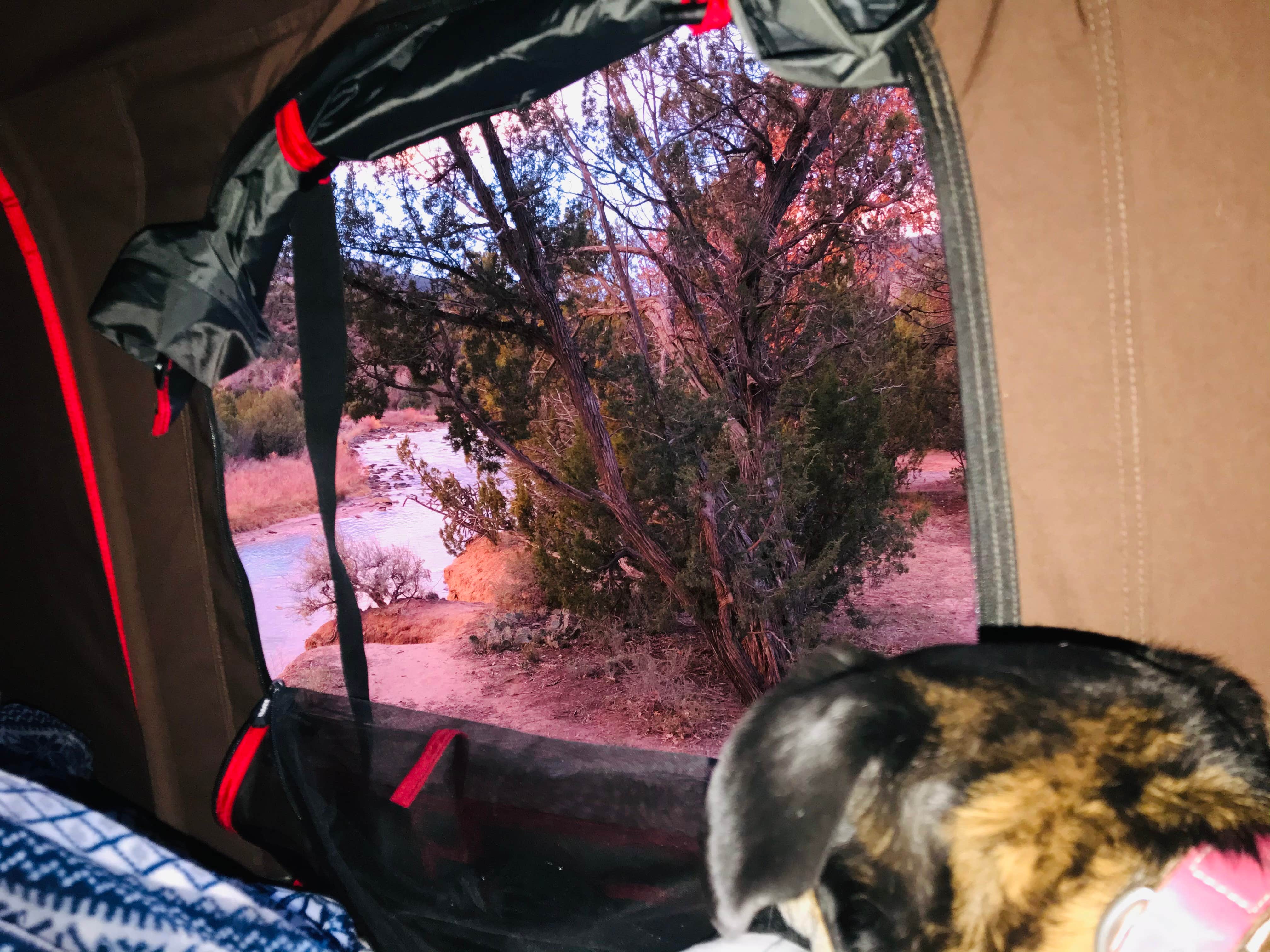 Camper submitted image from Rio Chama Campground - 4
