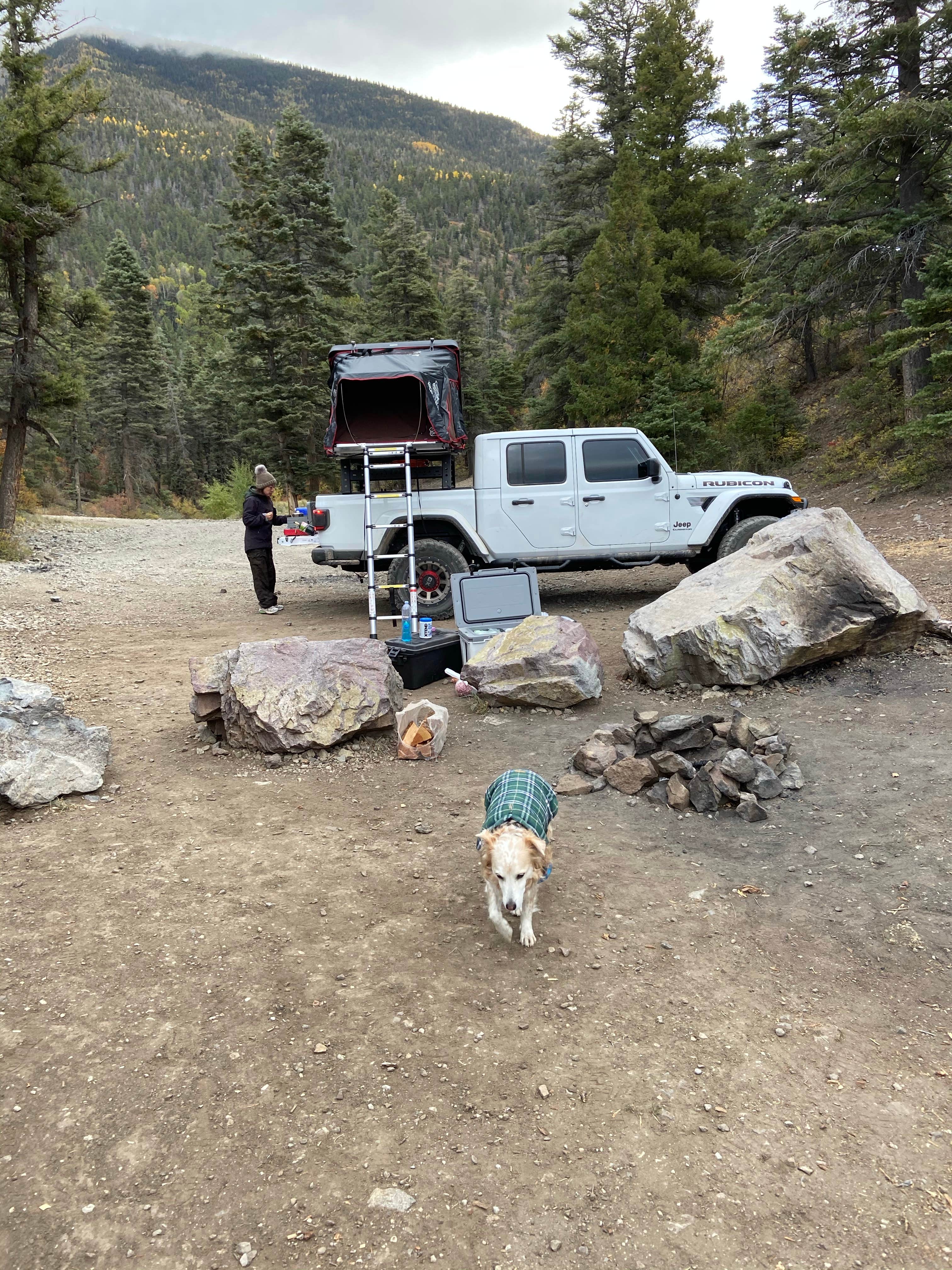 Camper submitted image from Cabresto Lake Campground - 5