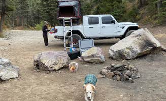 Lila L.'s photo of camping with pets at Cabresto Lake Campground near Costilla, NM