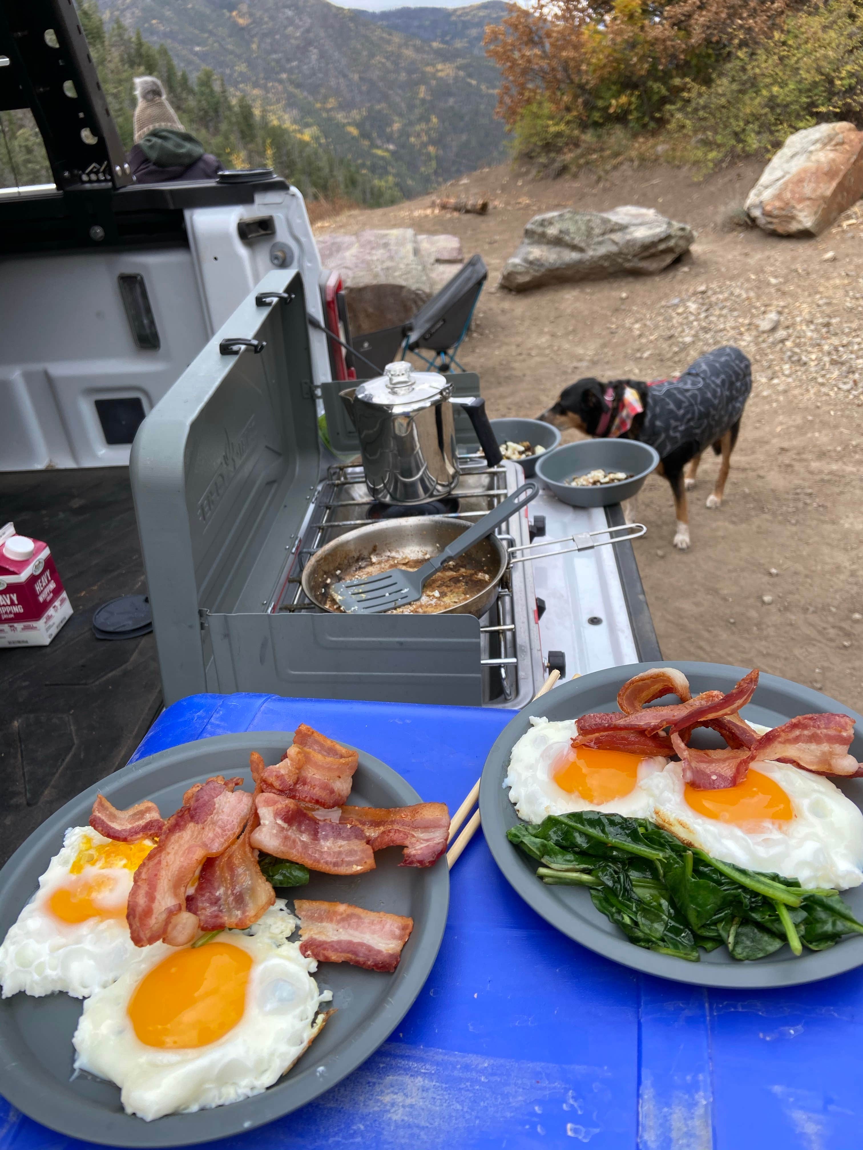 Lila L.'s photo of camping with pets at Cabresto Lake Campground near Taos Ski Valley, NM