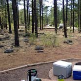 Review photo of White Horse Lake Campground by Daniel L., June 2, 2018