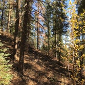 Review photo of Holy Ghost Campground by Lila L., May 9, 2021