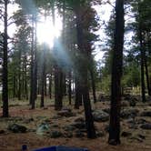 Review photo of White Horse Lake Campground by Daniel L., June 2, 2018