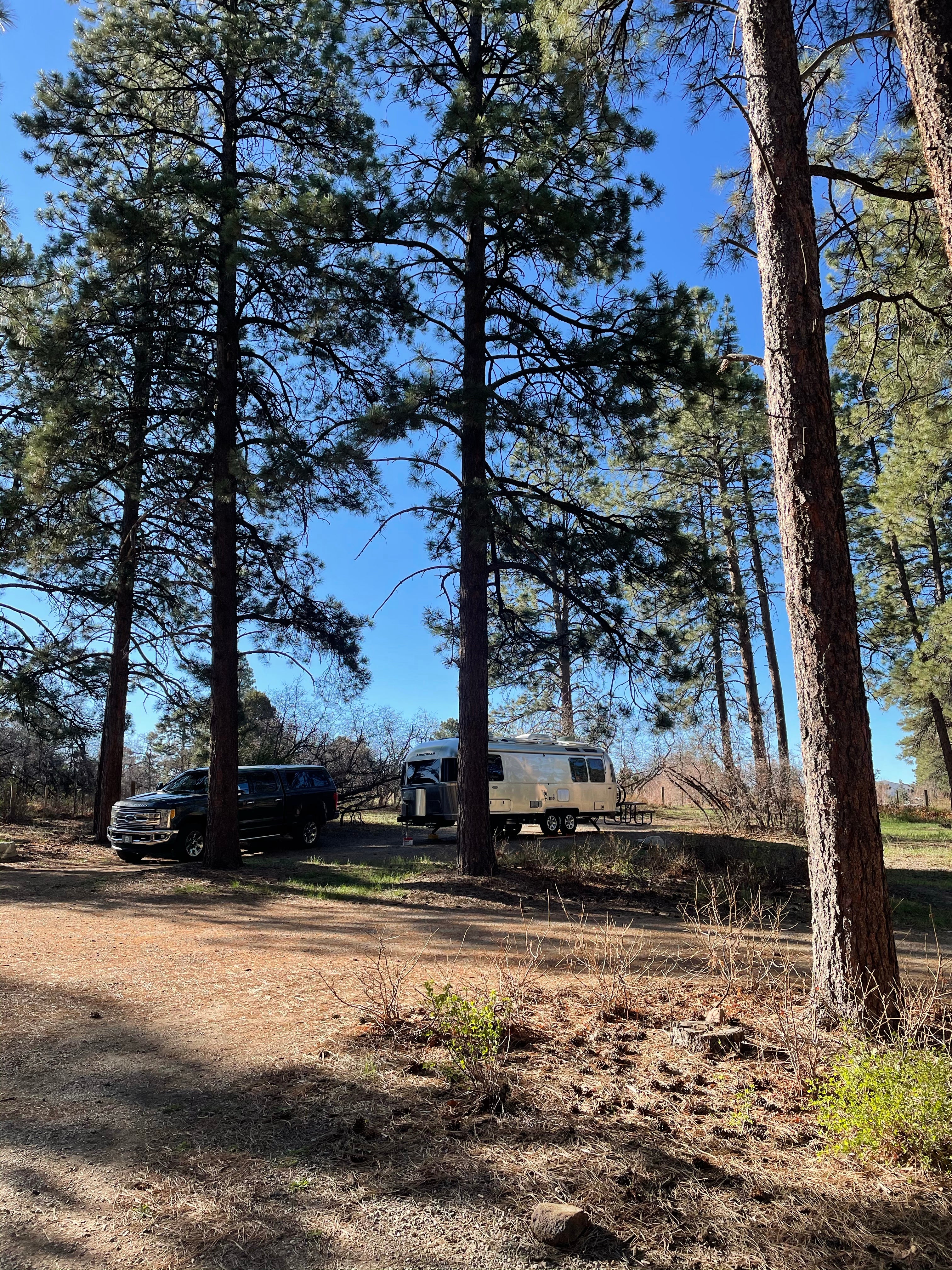 Camper submitted image from Mancos State Park Campground - 2