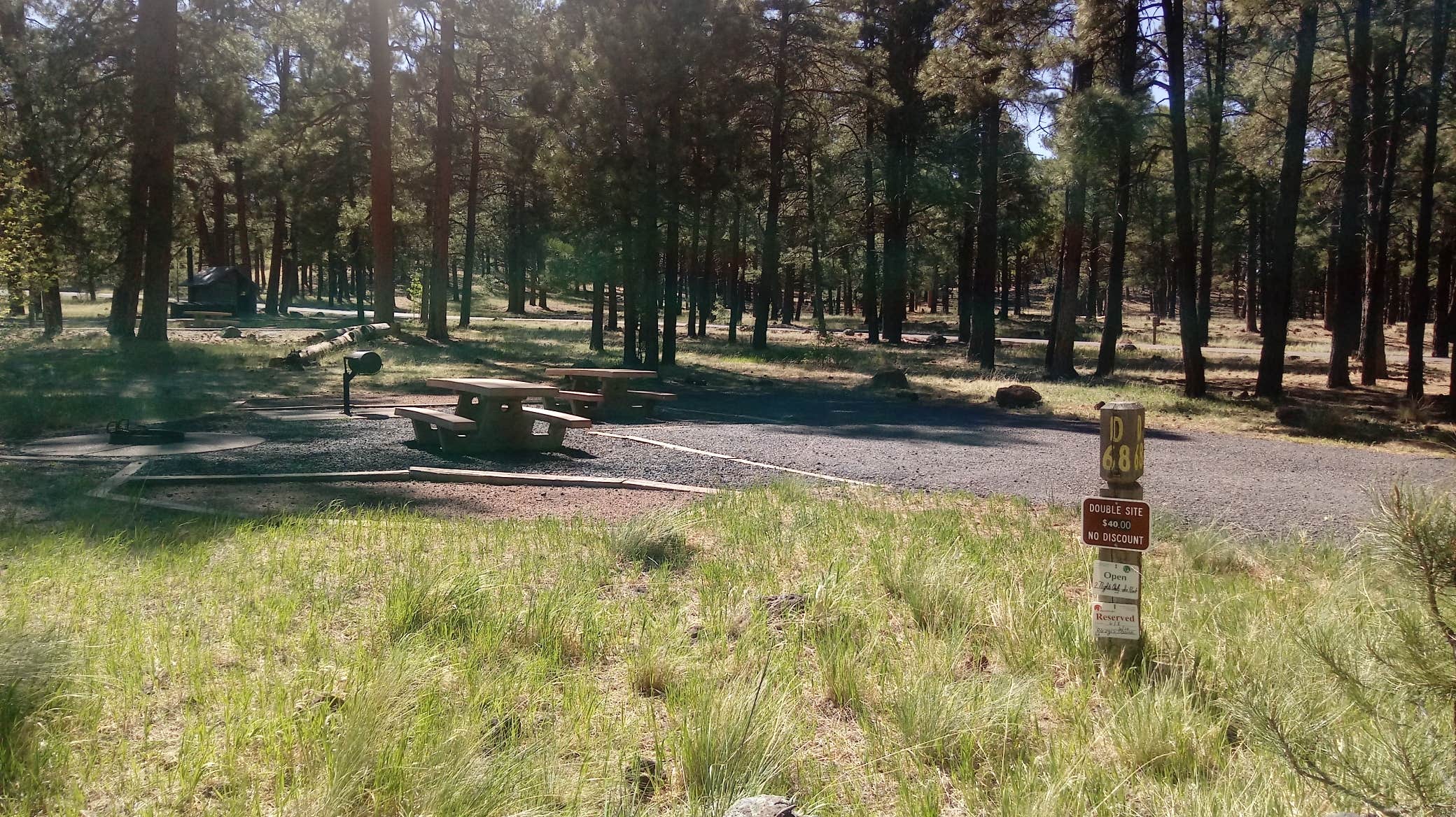 Camper submitted image from White Horse Lake Campground - 3