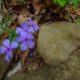 Review photo of Richland Creek Recreation Area by Patricia , May 9, 2021