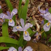 Review photo of Richland Creek Recreation Area by Patricia , May 9, 2021