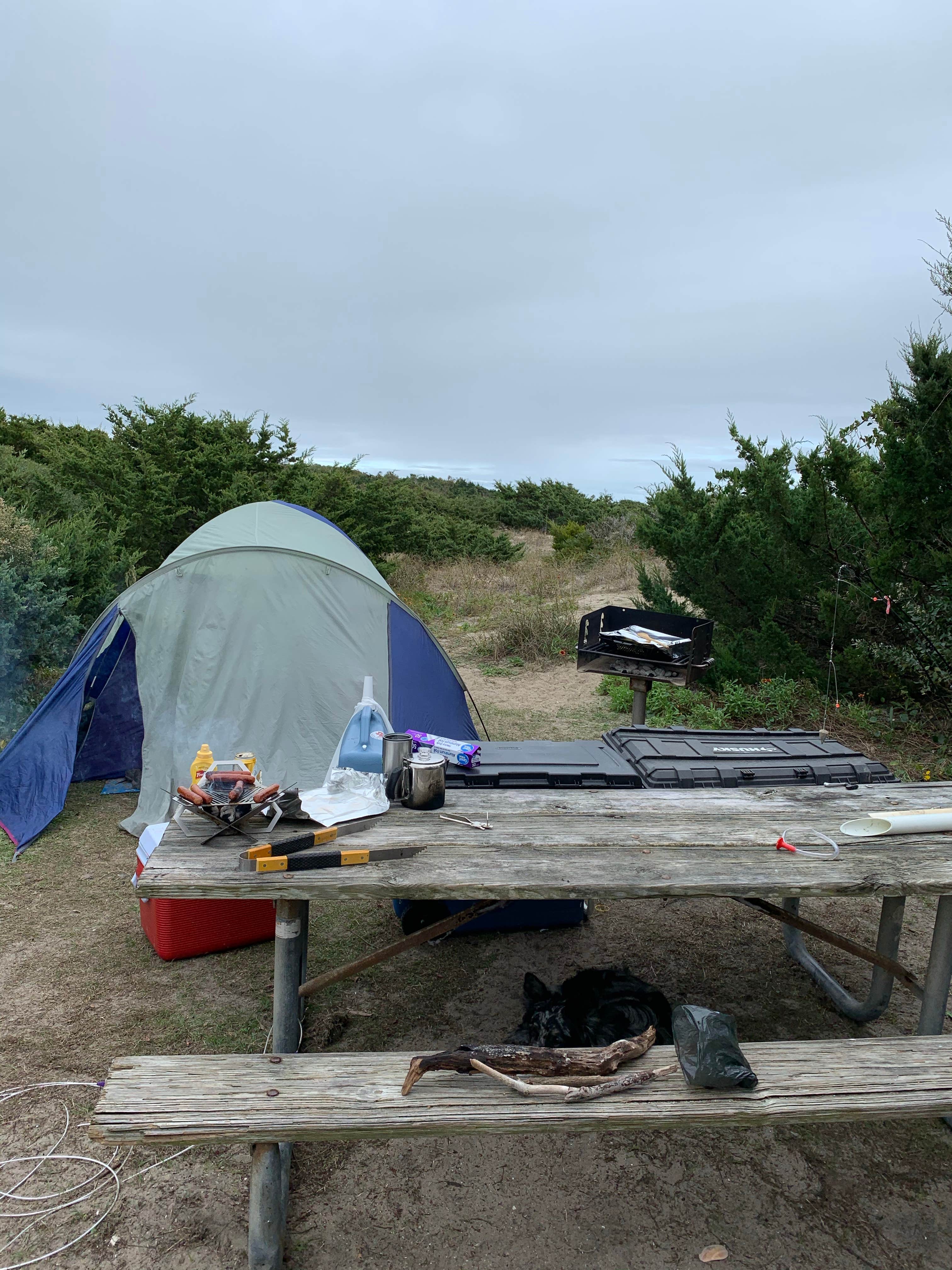 Brandon M.'s photo at Ocracoke Campground — Cape Hatteras National Seashore near Frisco, NC