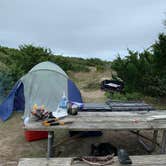 Review photo of Ocracoke Campground — Cape Hatteras National Seashore by Brandon M., November 26, 2020