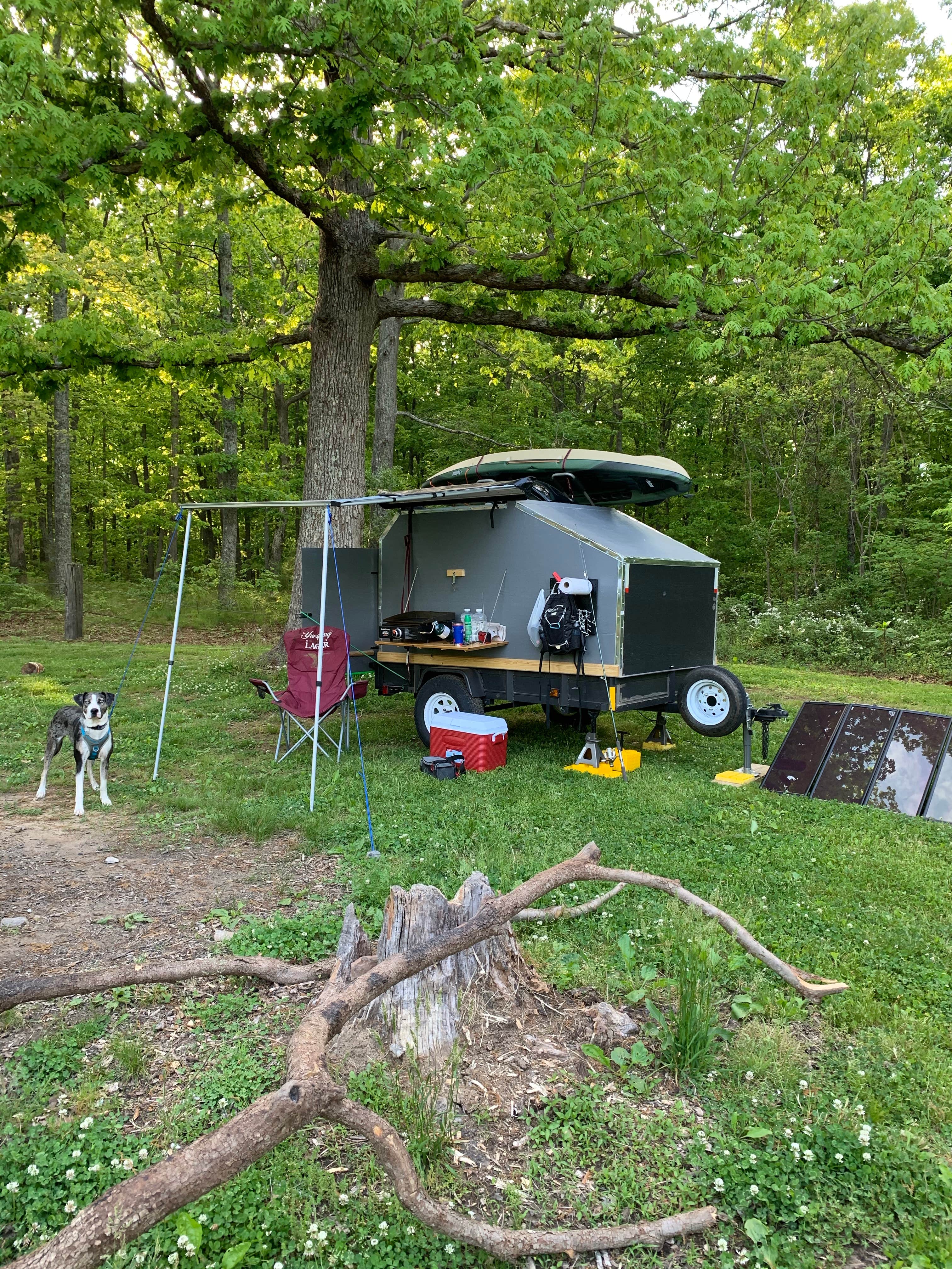 Brandon M.'s photo of tent camping at Sawmill Lake Campsite near Langston, AL